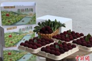 梦见淋浴高速赋能产业升级：一条“杨梅路”的致富密码